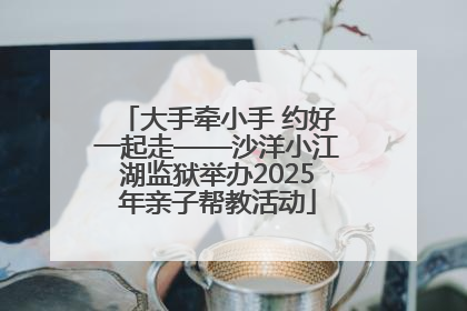 大手牵小手 约好一起走——沙洋小江湖监狱举办2025年亲子帮教活动