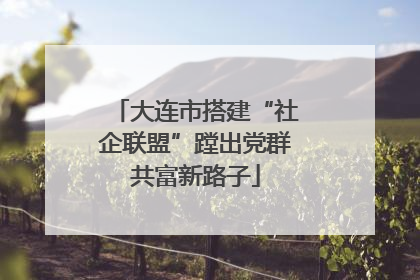 大连市搭建“社企联盟”蹚出党群共富新路子