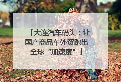 大连汽车码头：让国产商品车外贸跑出全球“加速度”