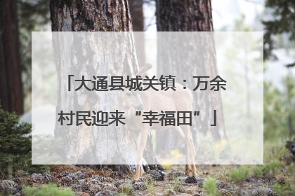 大通县城关镇：万余村民迎来“幸福田”