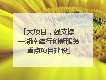 大项目，强支撑——湖南建行创新服务重点项目建设