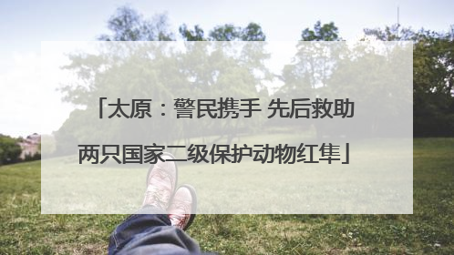 太原：警民携手 先后救助两只国家二级保护动物红隼