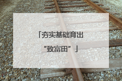 夯实基础育出“致富田”