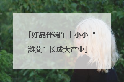 好品伴端午丨小小“潍艾”长成大产业