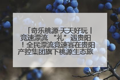 奇乐桃源·天天好玩丨竞速漂流 “礼”遇贵阳！全民漂流竞速赛在贵阳产控集团旗下桃源生态旅游度假区举行