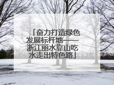 奋力打造绿色发展标杆地——浙江丽水靠山吃水走出特色路