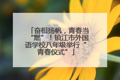 奋楫扬帆，青春当“燃”！镇江市外国语学校八年级举行“青春仪式”