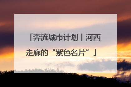 奔流城市计划丨河西走廊的“紫色名片”