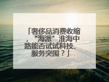 奢侈品消费收缩，“海派”淮海中路能否试试科技、服务突围？