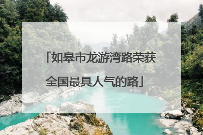 如皋市龙游湾路荣获全国最具人气的路
