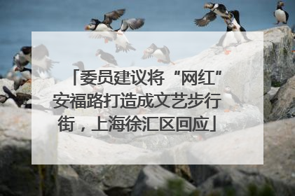 委员建议将“网红”安福路打造成文艺步行街，上海徐汇区回应