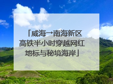 威海→南海新区 高铁半小时穿越网红地标与秘境海岸