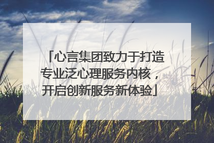 心言集团致力于打造专业泛心理服务内核，开启创新服务新体验
