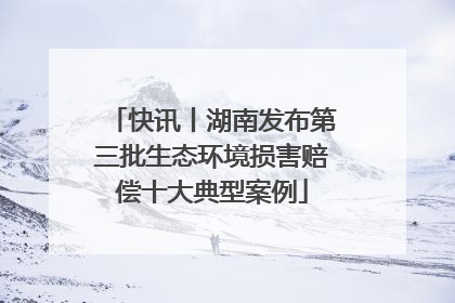 快讯丨湖南发布第三批生态环境损害赔偿十大典型案例