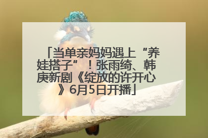 当单亲妈妈遇上“养娃搭子”!张雨绮、韩庚新剧《绽放的许开心》6月5日开播