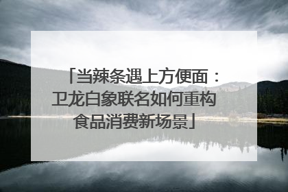 当辣条遇上方便面：卫龙白象联名如何重构食品消费新场景