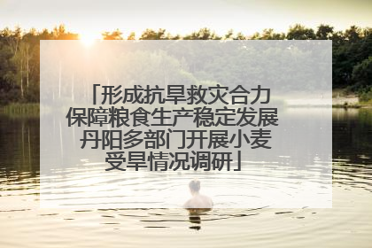 形成抗旱救灾合力 保障粮食生产稳定发展 丹阳多部门开展小麦受旱情况调研