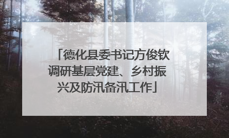 德化县委书记方俊钦调研基层党建、乡村振兴及防汛备汛工作