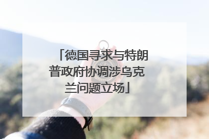 德国寻求与特朗普政府协调涉乌克兰问题立场