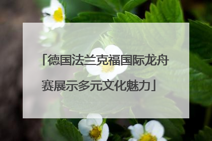 德国法兰克福国际龙舟赛展示多元文化魅力