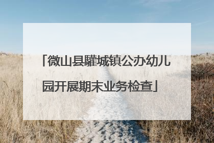 微山县驩城镇公办幼儿园开展期末业务检查