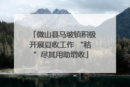 微山县马坡镇积极开展夏收工作 “秸”尽其用助增收