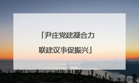 尹庄党建凝合力 联建议事促振兴