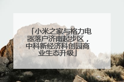 小米之家与格力电器落户济南起步区，中科新经济科创园商业生态升级