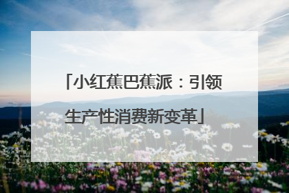 小红蕉巴蕉派：引领生产性消费新变革