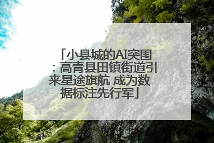 小县城的AI突围：高青县田镇街道引来星途旗航 成为数据标注先行军