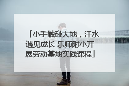 小手触碰大地，汗水遇见成长 乐师附小开展劳动基地实践课程