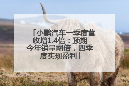 小鹏汽车一季度营收增1.4倍：预期今年销量翻倍，四季度实现盈利