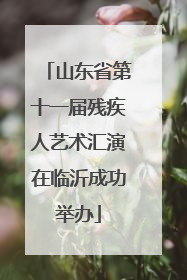 山东省第十一届残疾人艺术汇演在临沂成功举办