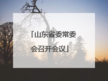山东省委常委会召开会议