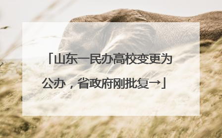 山东一民办高校变更为公办，省政府刚批复→