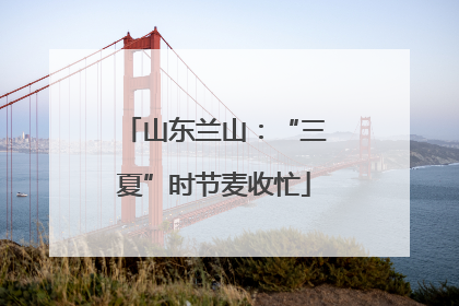山东兰山：“三夏”时节麦收忙
