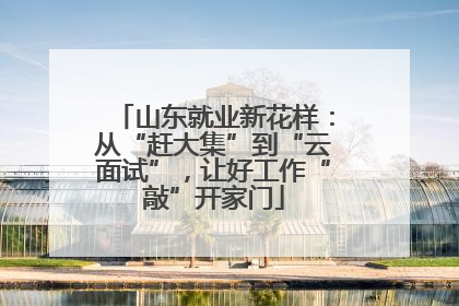 山东就业新花样：从“赶大集”到“云面试”，让好工作“敲”开家门