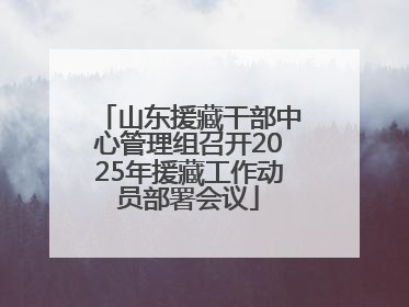 山东援藏干部中心管理组召开2025年援藏工作动员部署会议