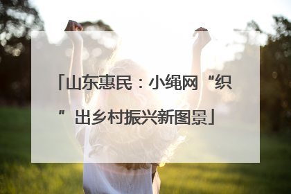 山东惠民：小绳网“织”出乡村振兴新图景