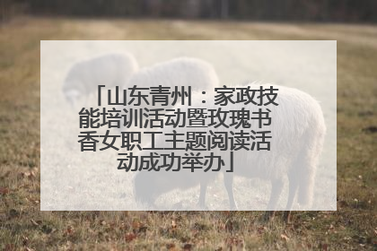 山东青州：家政技能培训活动暨玫瑰书香女职工主题阅读活动成功举办