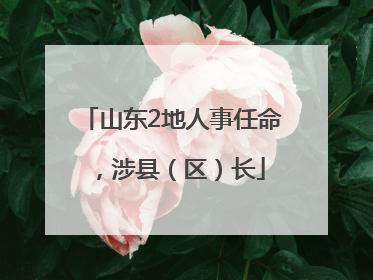 山东2地人事任命，涉县（区）长