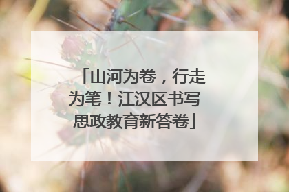 山河为卷，行走为笔！江汉区书写思政教育新答卷