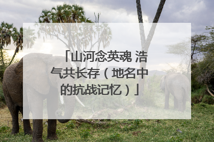 山河念英魂 浩气共长存（地名中的抗战记忆）