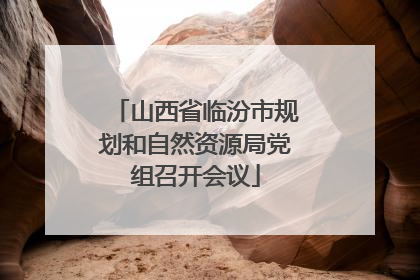 山西省临汾市规划和自然资源局党组召开会议