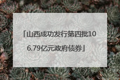 山西成功发行第四批106.79亿元政府债券