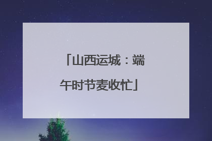 山西运城：端午时节麦收忙