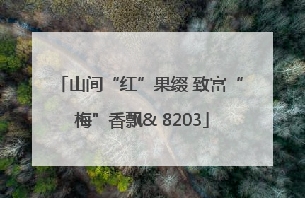 山间“红”果缀 致富“梅”香飘& 8203