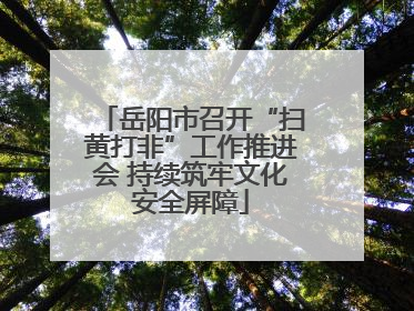 岳阳市召开“扫黄打非”工作推进会 持续筑牢文化安全屏障