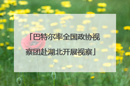 巴特尔率全国政协视察团赴湖北开展视察