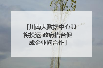 川南大数据中心即将投运 政府搭台促成企业间合作